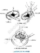 德布劳内CBA常规赛综述(德布劳内女友出轨其队友库尔图瓦)|jdb电子夺宝官网